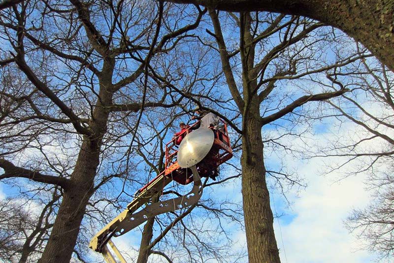 Voor het kunstwerk in de gemeente Hof van Twente is de geschiedenis van de Freules van Beckum het uitgangspunt. De freules zijn vanwege hun geloof in 1544 veroordeeld en op het Galgenveld even buiten Delden op de brandstapel terechtgesteld op 13 november.